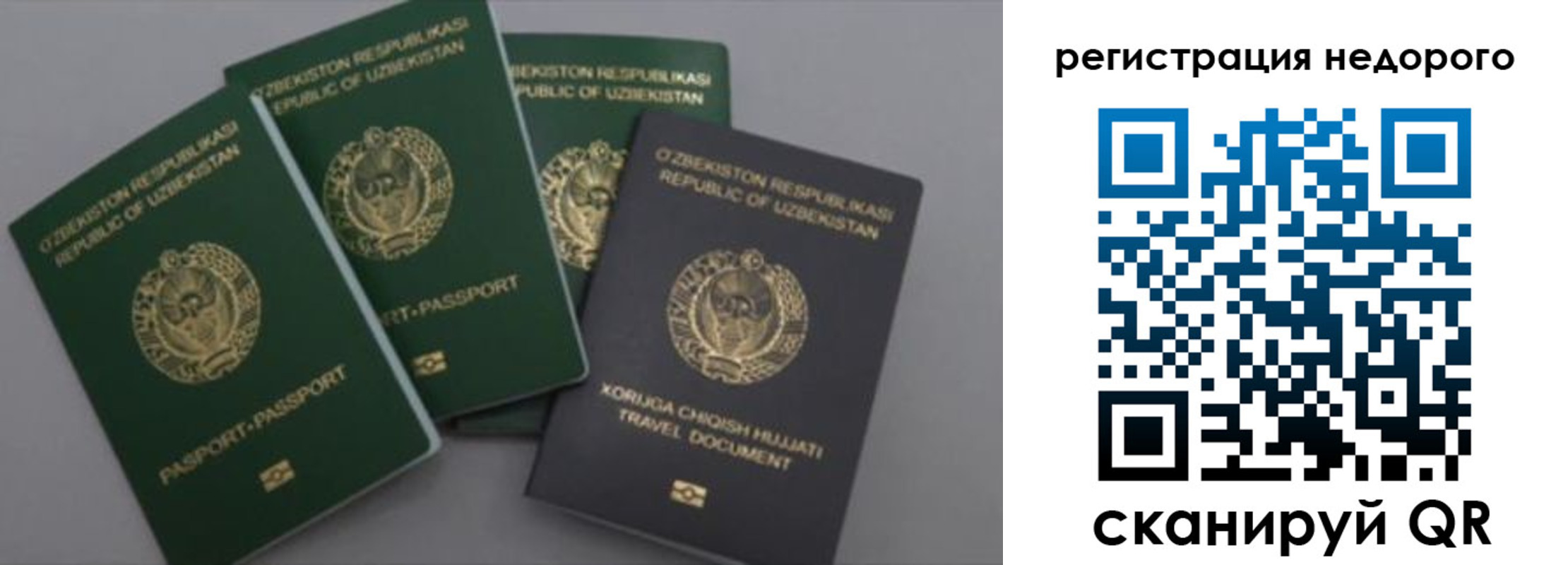 пропишу в квартире в Белой Калитве